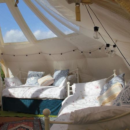 Tal-Y-Fan Farm 6M Stargazer Tent Bridgend  Zewnętrze zdjęcie